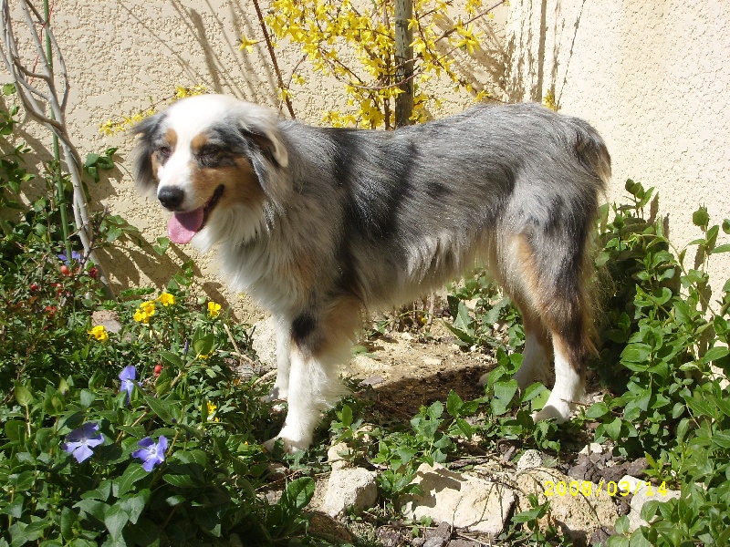 Publication : de l'Odyssée des Muses