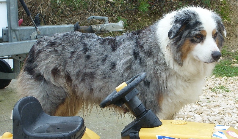 Publication : de l'Odyssée des Muses