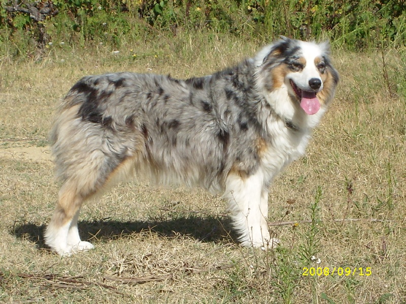 Publication : de l'Odyssée des Muses