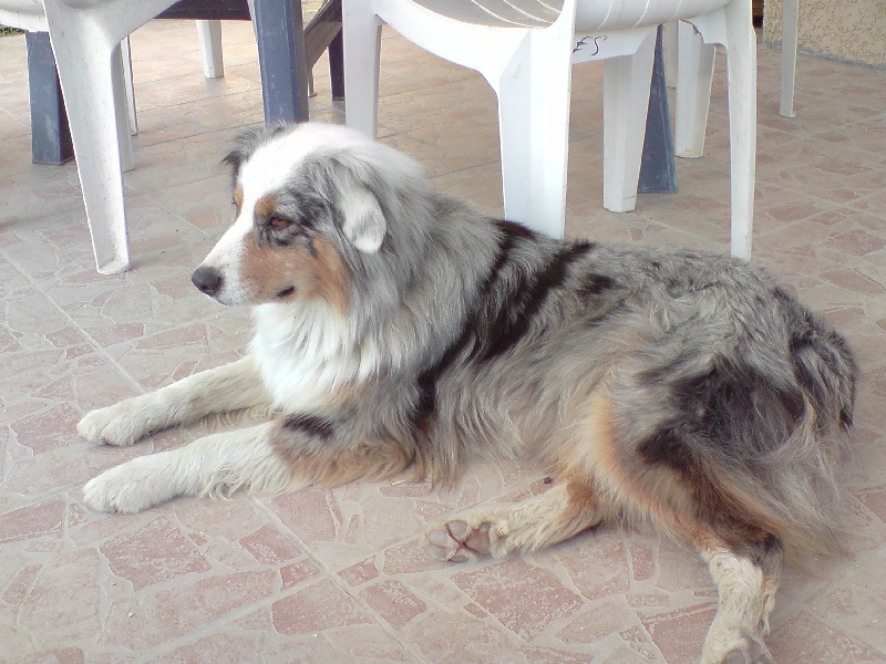 Publication : de l'Odyssée des Muses