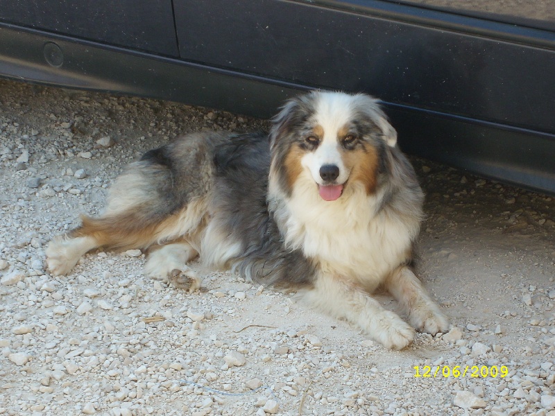 Publication : de l'Odyssée des Muses