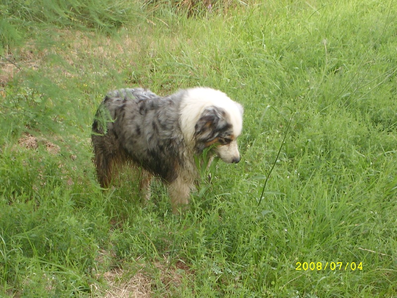 Publication : de l'Odyssée des Muses