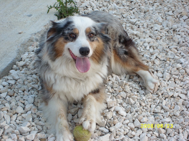 Publication : de l'Odyssée des Muses