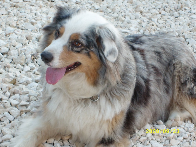 Publication : de l'Odyssée des Muses