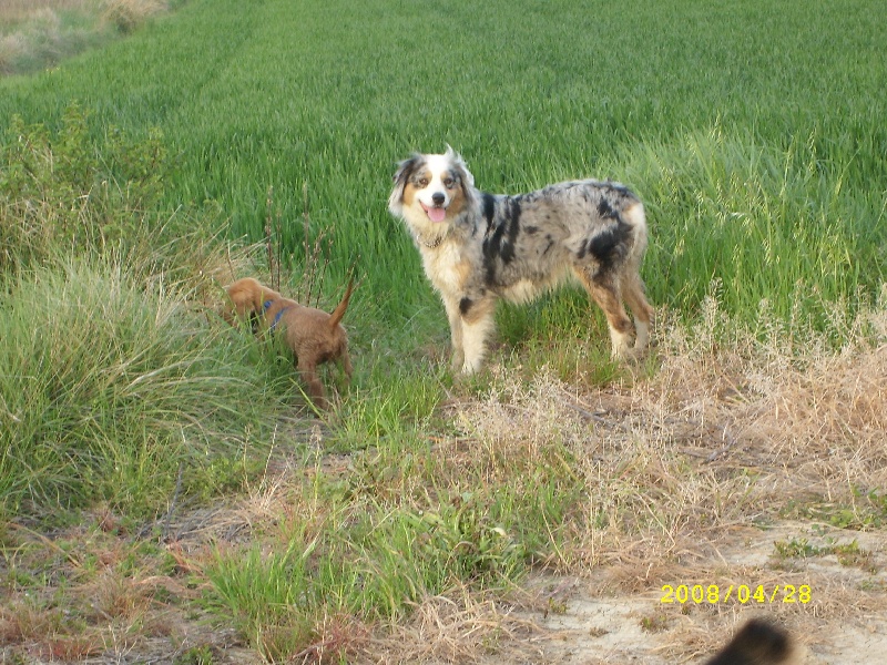Publication : de l'Odyssée des Muses