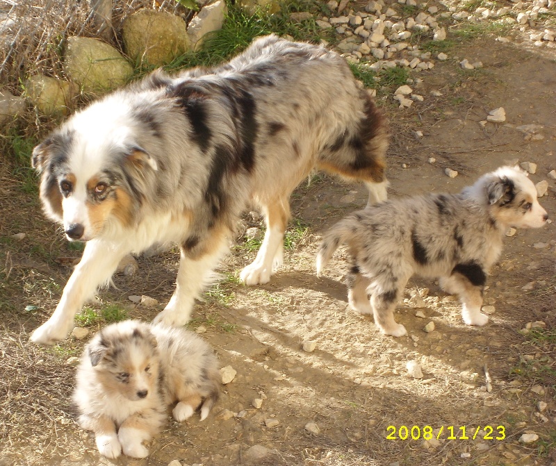 Publication : de l'Odyssée des Muses