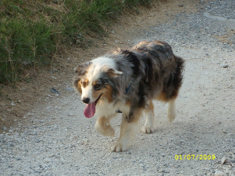 Publication : de l'Odyssée des Muses