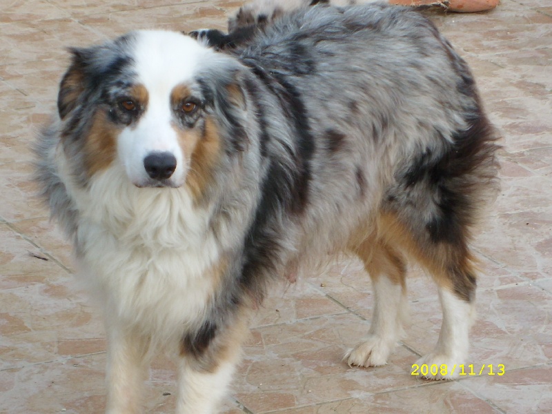 Publication : de l'Odyssée des Muses