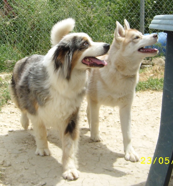 Publication : de l'Odyssée des Muses