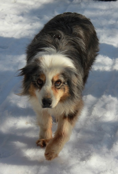 Publication : de l'Odyssée des Muses