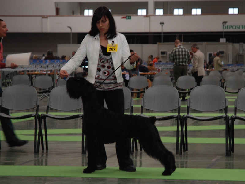 Cassandre du jardin de Coralicia