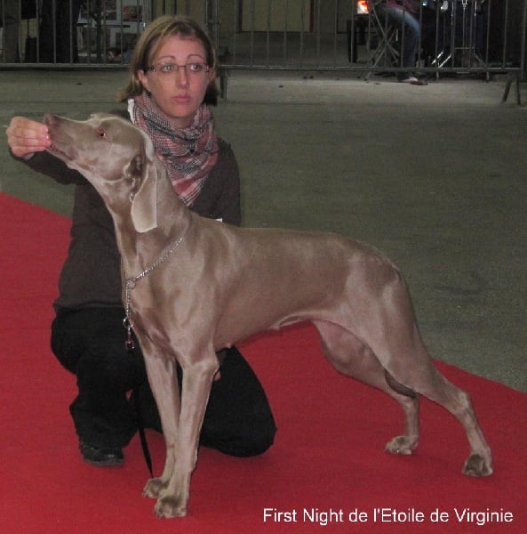 First night de l'Etoile de Virginie