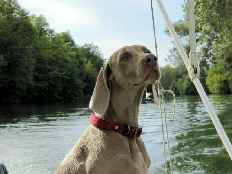 First night de l'Etoile de Virginie