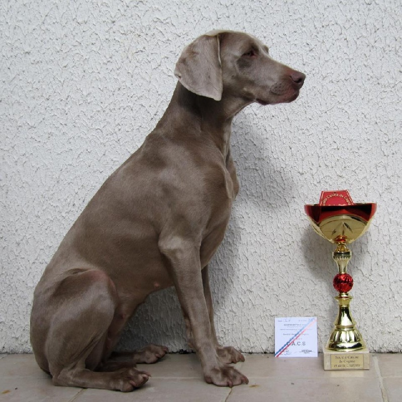 First night de l'Etoile de Virginie