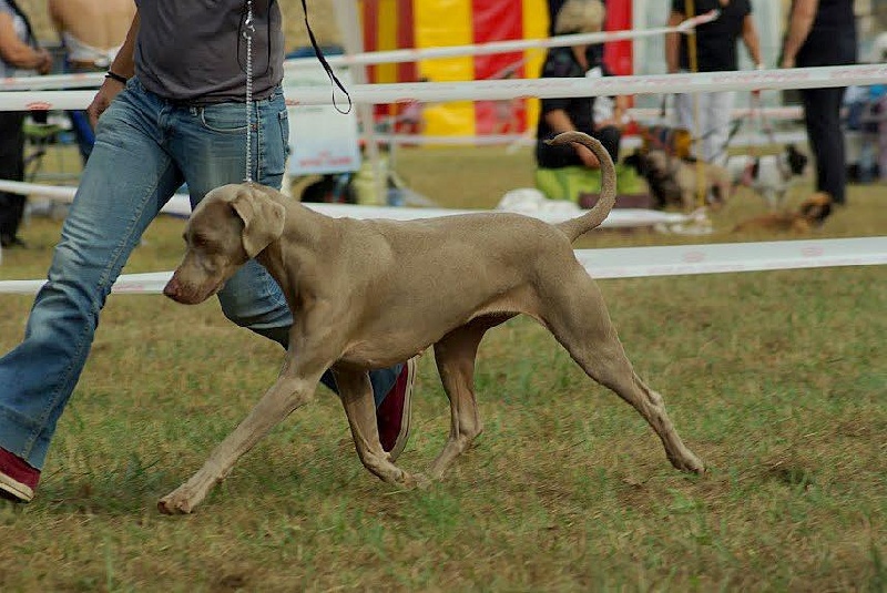 First night de l'Etoile de Virginie
