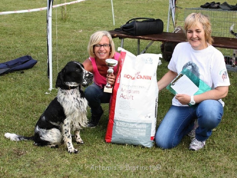 CH. Gatsby of Artemis´s Instincts - vainqueur de la compétition amicale de rapport de l'eau