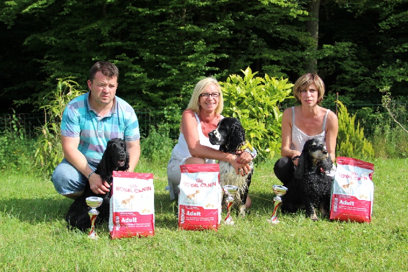 CH. Gatsby of Artemis´s Instincts - vainqueur de la compétition amicale de rapport de l'eau