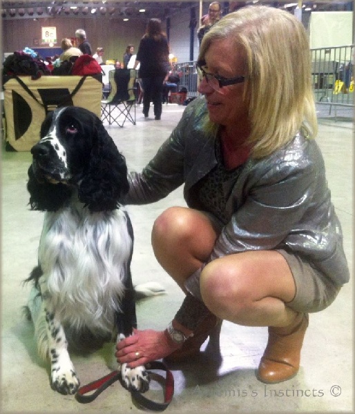 CH. Gatsby of Artemis´s Instincts - Exe1 (classe ouverte) + CAC