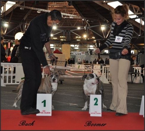 Escalibur power duke of Namétis's Pearls - 2ème excellent