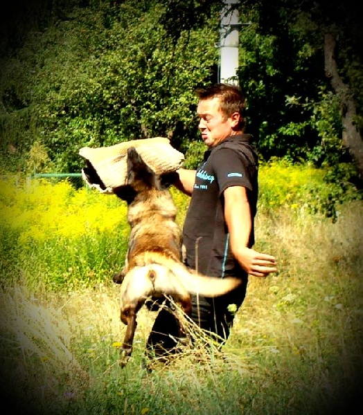 Publication : du Domaine des Gardiens de la Vallée Auteur : Julien DGV