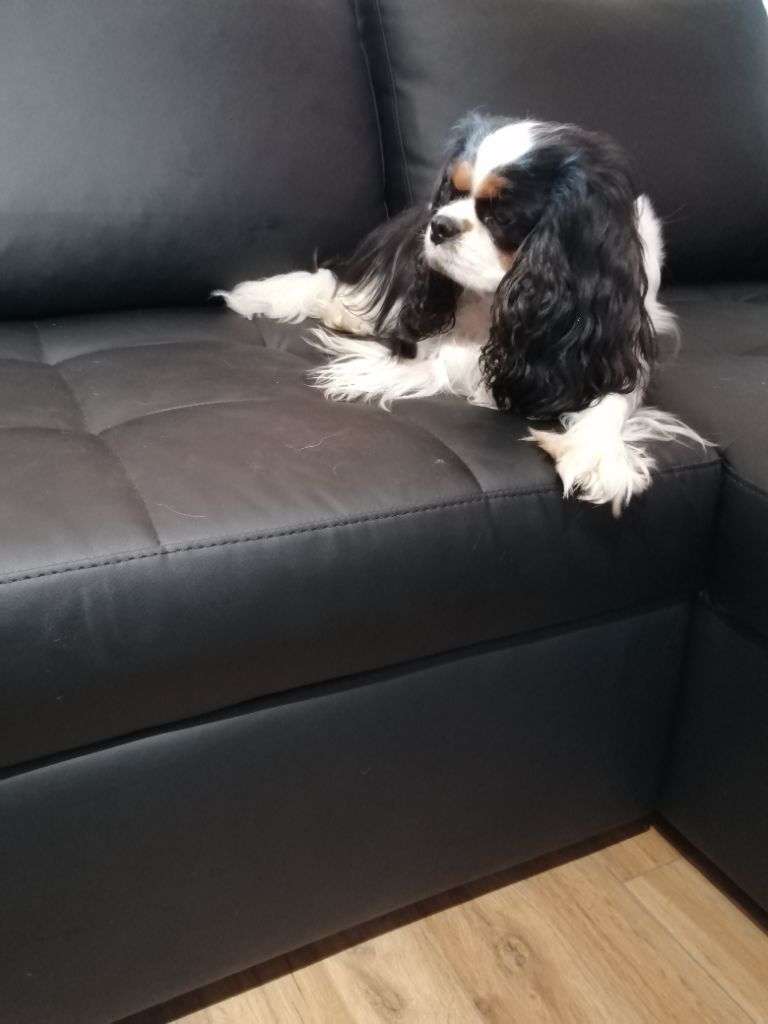 Publication : du Clos Bel'Alpe