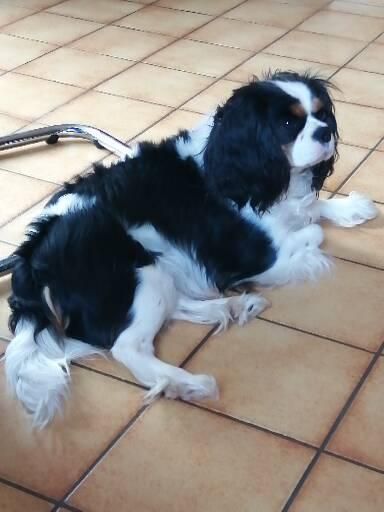 Publication : du Clos Bel'Alpe