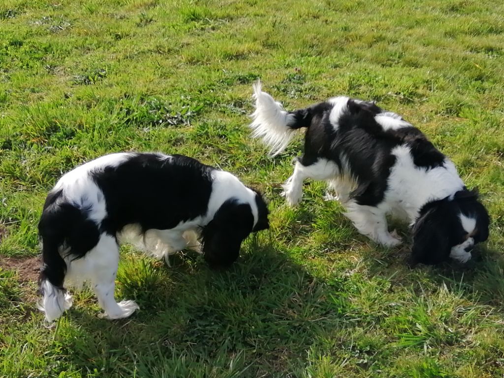 Publication : du Clos Bel'Alpe