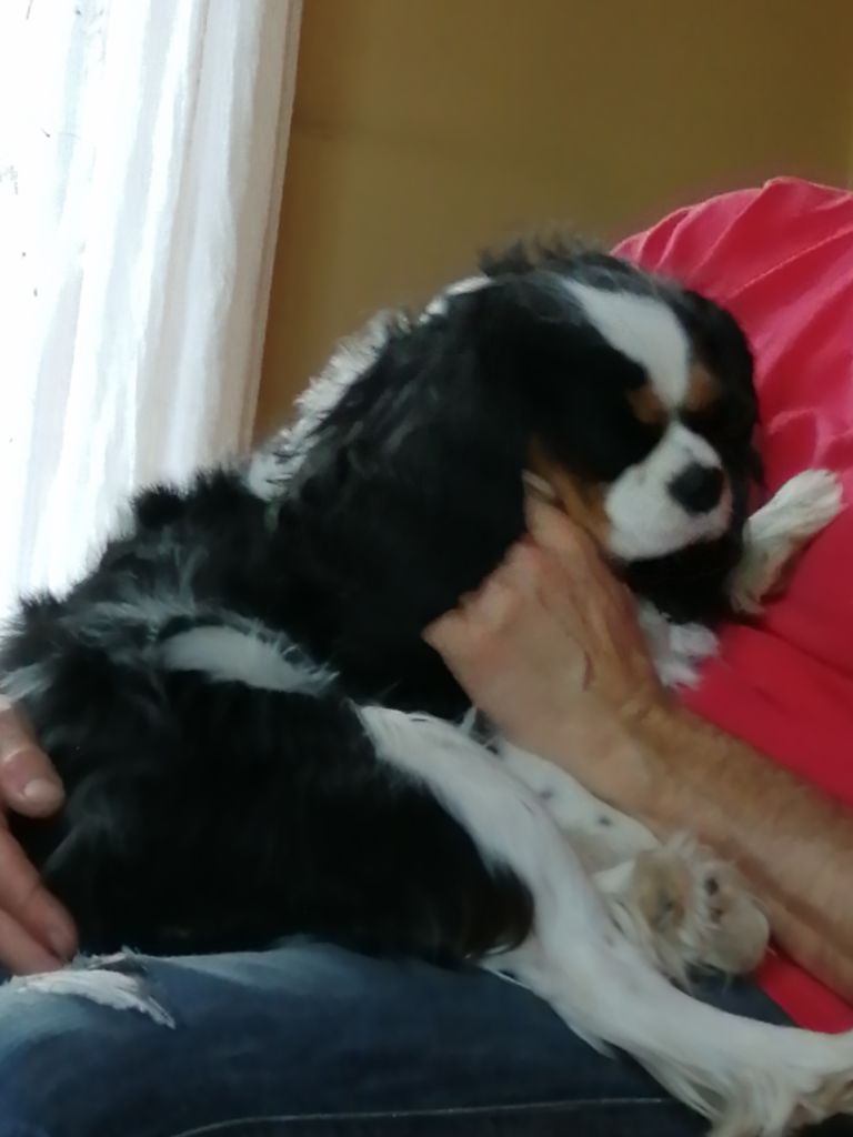 Publication : du Clos Bel'Alpe