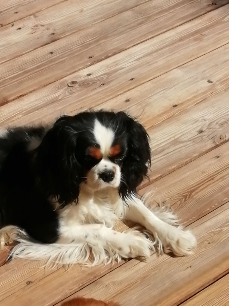 Publication : du Clos Bel'Alpe