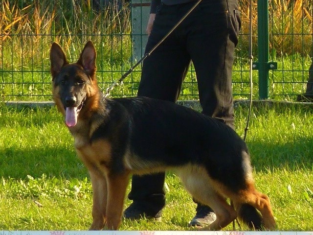 Gina De parilly - 1° place