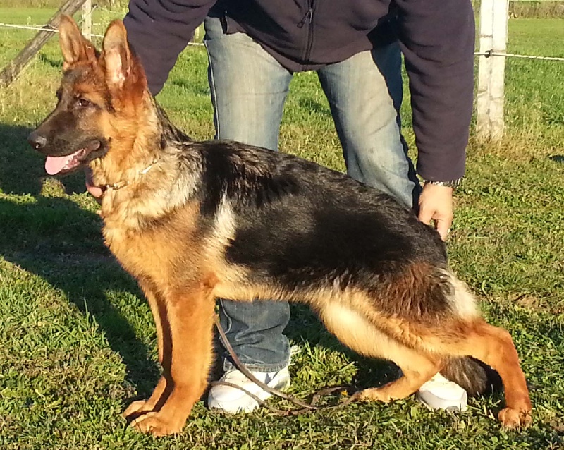 Ice De la vallee de l'etna - 1° 6/9
