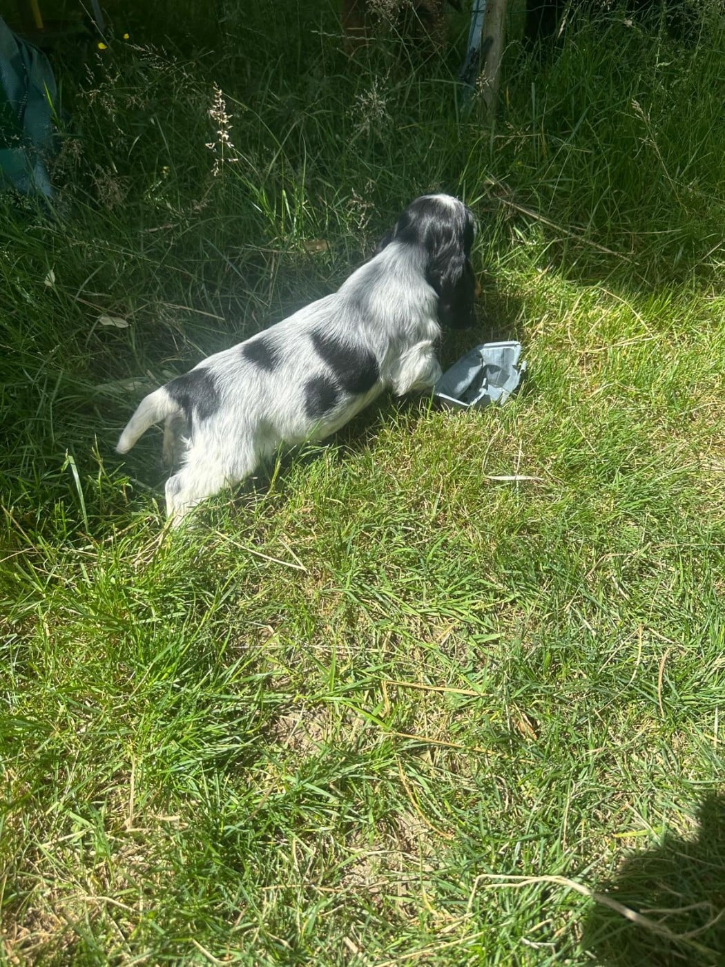 BAXTER