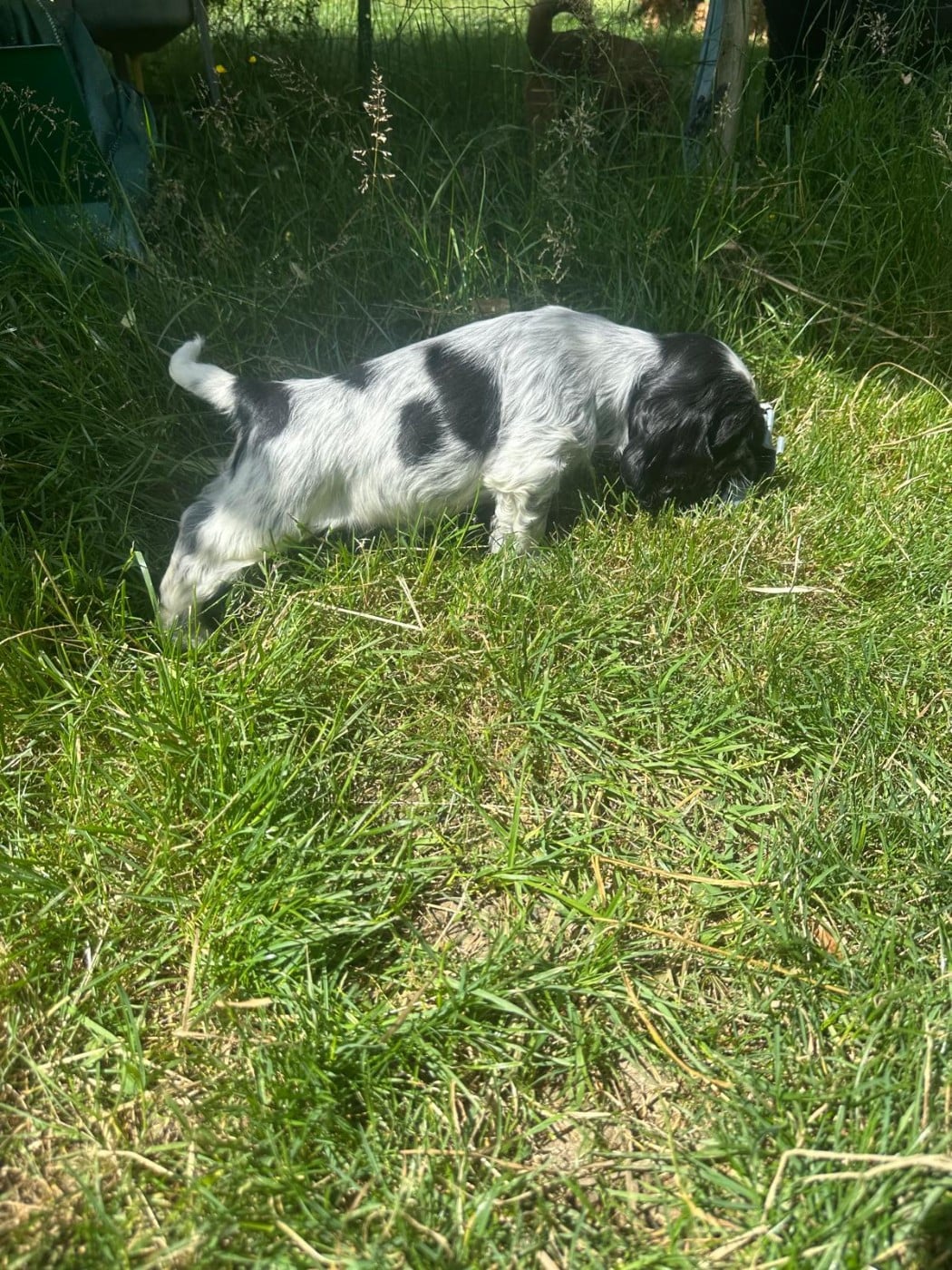 BAXTER