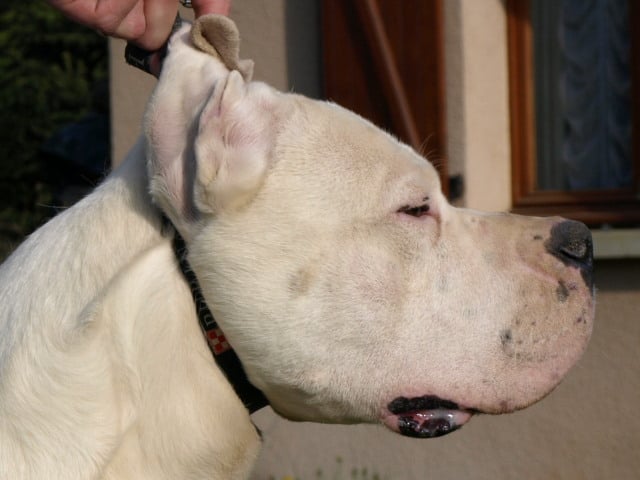 Publication : of kylian's creek Auteur : Mr Demaret ( Fayacan cahuak )