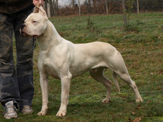 Publication : of kylian's creek Auteur : Mr Demaret ( Fayacan cahuak )