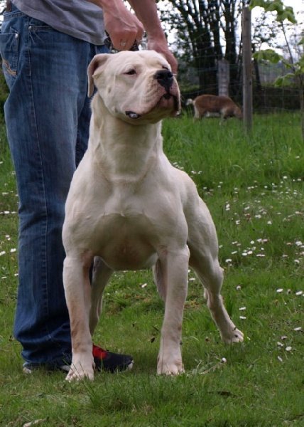 Publication : of kylian's creek Auteur : Mr Demaret ( Fayacan cahuak )