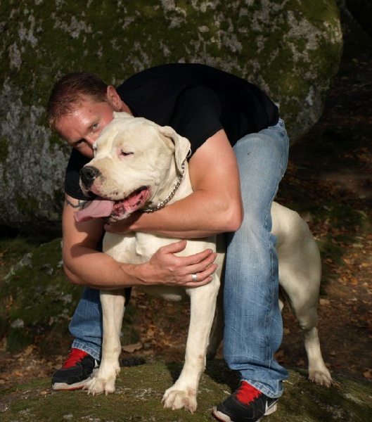 Publication : of kylian's creek Auteur : Mr Demaret ( Fayacan cahuak )