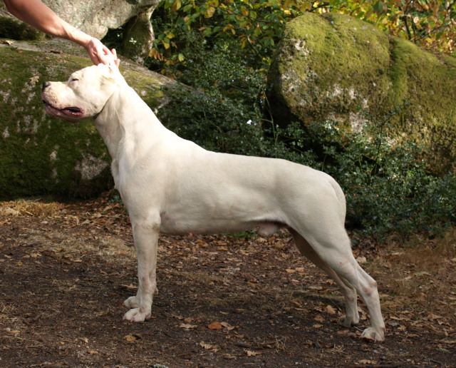 Publication : of kylian's creek Auteur : Mr Demaret ( Fayacan cahuak )