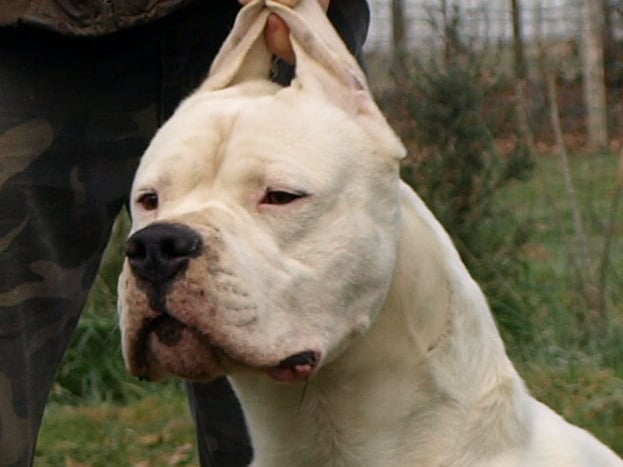 Publication : of kylian's creek Auteur : Mr Demaret ( Fayacan cahuak )