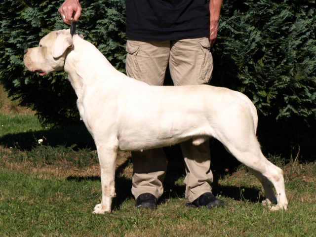 Publication : of kylian's creek Auteur : Mr Demaret ( Fayacan cahuak )