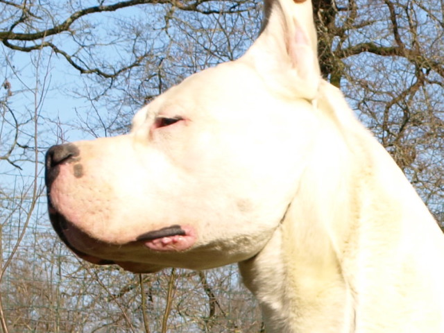 Publication : of kylian's creek Auteur : Mr Demaret ( Fayacan cahuak )