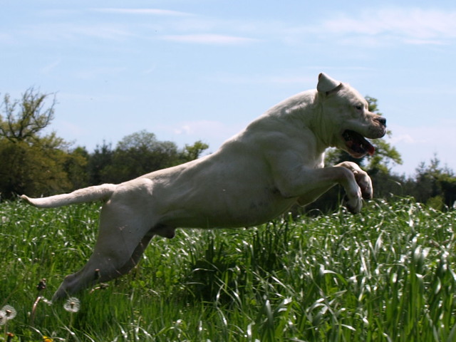 Publication : of kylian's creek Auteur : Mr Demaret ( Fayacan cahuak )