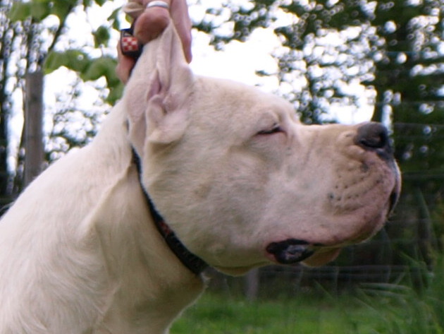 Publication : of kylian's creek Auteur : Mr Demaret ( Fayacan cahuak )