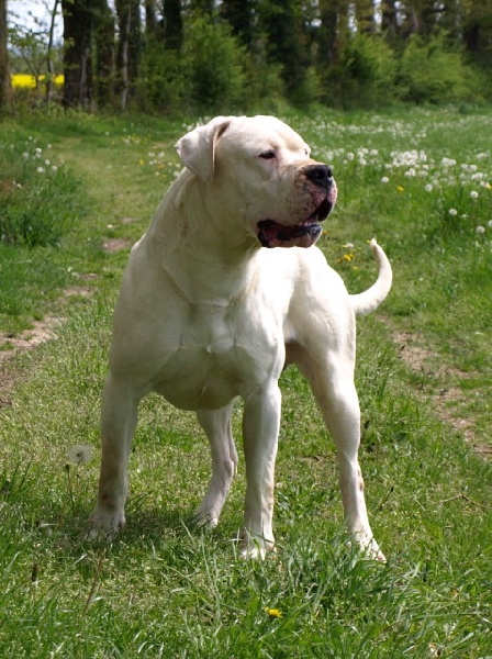 Publication : of kylian's creek Auteur : Mr Demaret ( Fayacan cahuak )