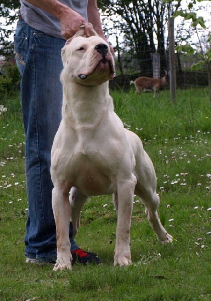 Publication : of kylian's creek Auteur : Mr Demaret ( Fayacan cahuak )