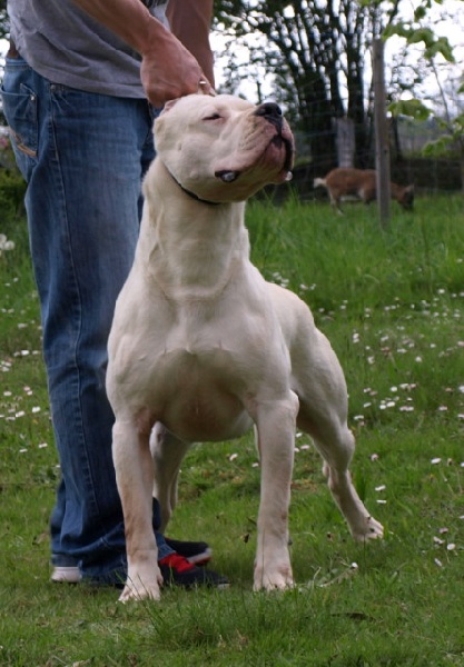 Publication : of kylian's creek Auteur : Mr Demaret ( Fayacan cahuak )