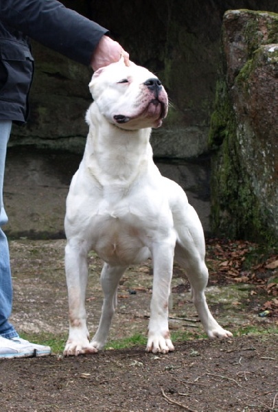 Publication : of kylian's creek Auteur : Mr Demaret ( Fayacan cahuak )