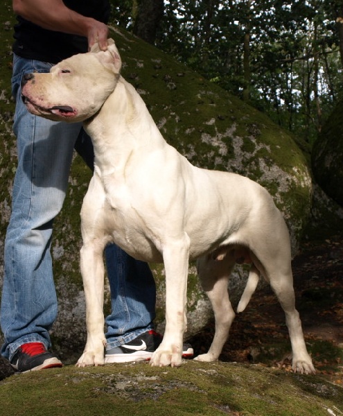 Publication : of kylian's creek Auteur : Mr Demaret ( Fayacan cahuak )