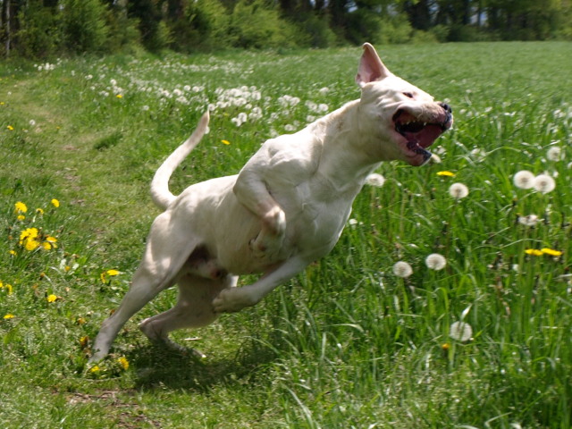 Publication : of kylian's creek Auteur : Mr Demaret ( Fayacan cahuak )