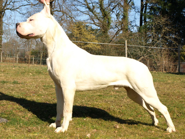 Publication : of kylian's creek Auteur : Mr Demaret ( Fayacan cahuak )